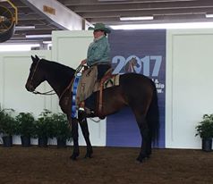 Sally Birkelo and TruWest Satin Dolly, shown with a blue ribbon won in the Ranch Horse Inaugural Class at the 2017 Morgan Grand National competition.